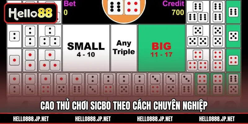Cao thủ chơi Sicbo theo cách chuyên nghiệp 