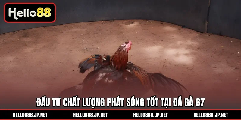 Đầu tư chất lượng phát sóng tốt tại Đá Gà 67