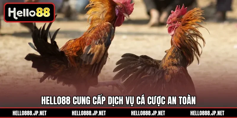 HELLO88 cung cấp dịch vụ cá cược an toàn