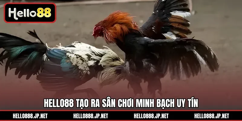 HELLO88 tạo ra sân chơi minh bạch uy tín