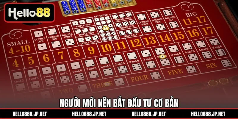 Người mới nên bắt đầu tư cơ bản 