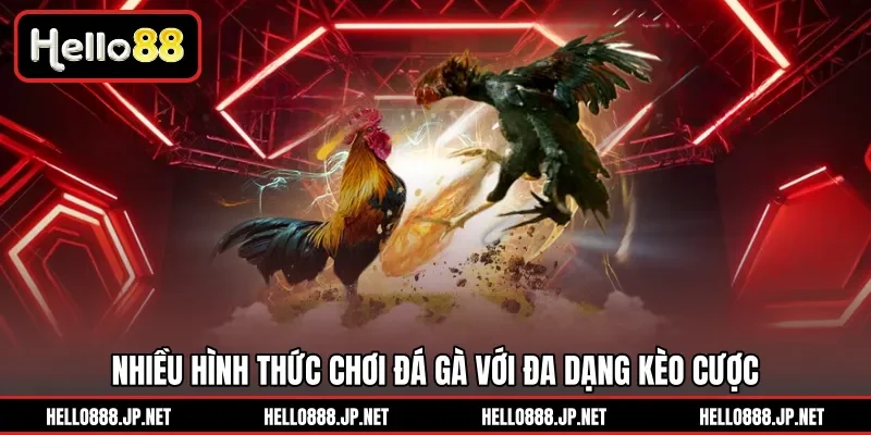 Nhiều hình thức chơi đá gà với đa dạng kèo cược
